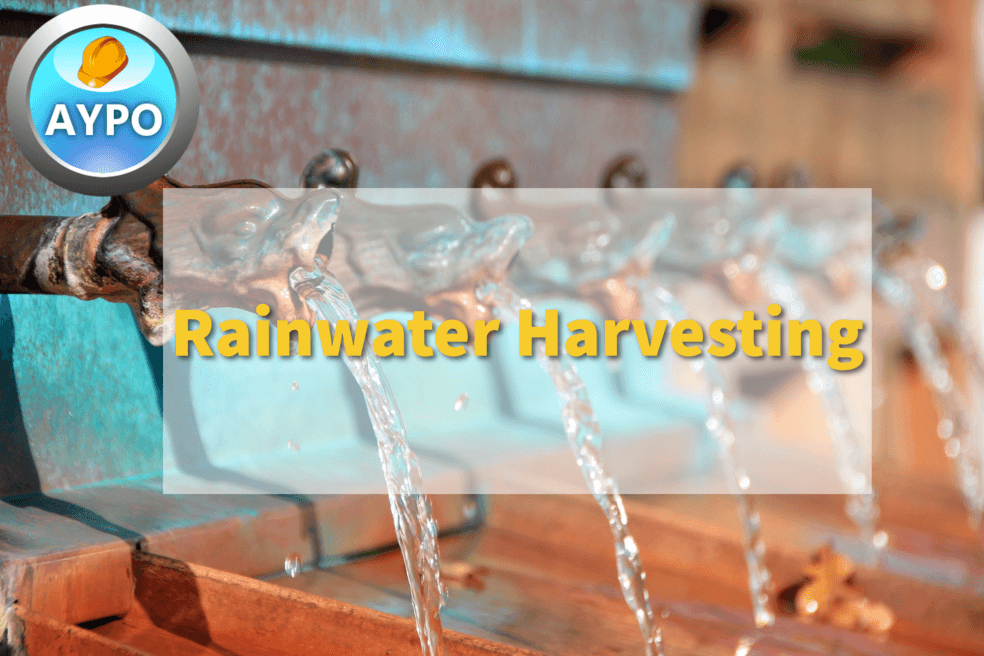 promotional video showing demo content